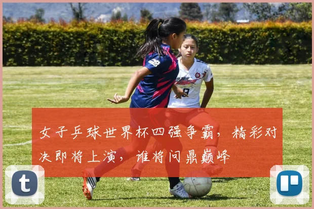 女子乒球世界杯四强争霸，精彩对决即将上演，谁将问鼎巅峰