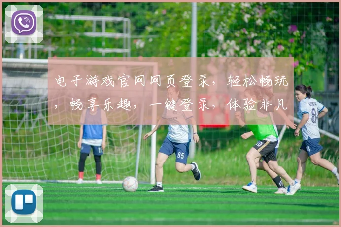 电子游戏官网网页登录，轻松畅玩，畅享乐趣，一键登录，体验非凡
