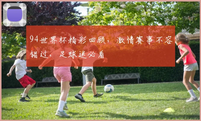 94世界杯精彩回顾，激情赛事不容错过，足球迷必看