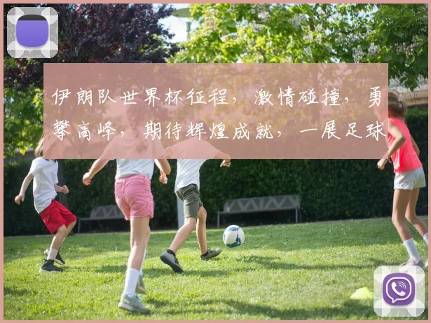 伊朗队世界杯征程，激情碰撞，勇攀高峰，期待辉煌成就，一展足球魅力