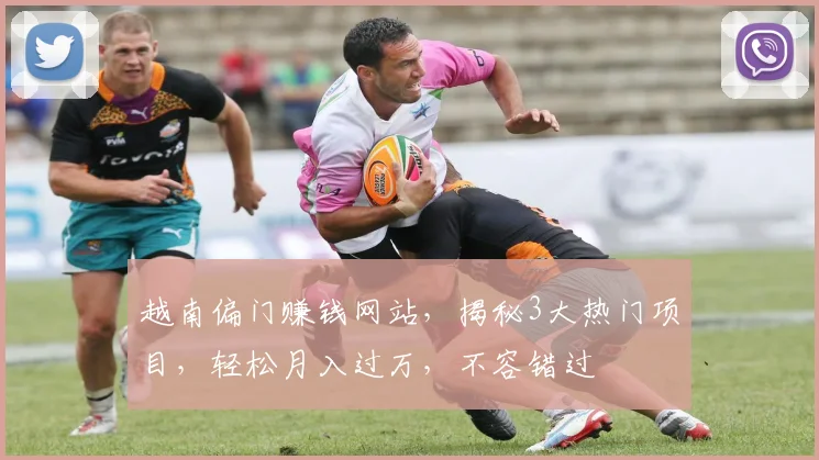 越南偏门赚钱网站，揭秘3大热门项目，轻松月入过万，不容错过